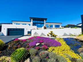 Vertex Belvedere, Christchurch